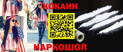 индика Кингисепп