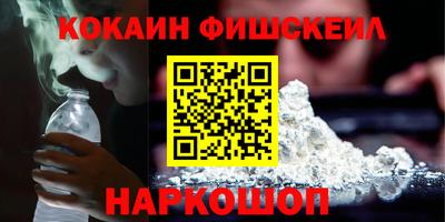 индика Кингисепп