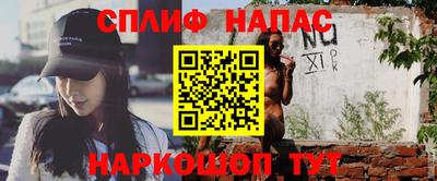 индика Кингисепп