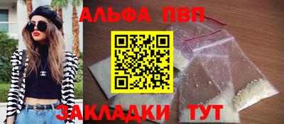 индика Кингисепп