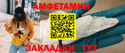 индика Кингисепп