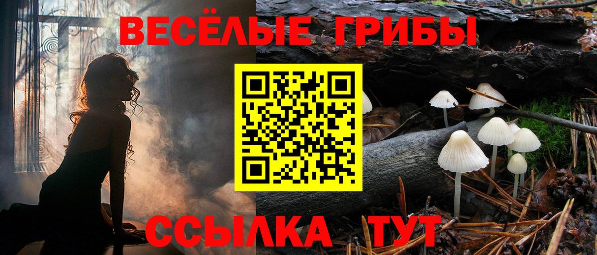Галлюциногенные грибы Psilocybine cubensis Комсомольск-на-Амуре