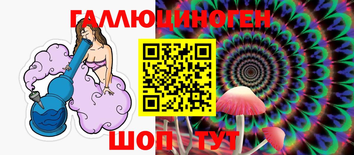 Комсомольск-на-Амуре  Псилоцибиновые грибы Cubensis  Вход с VPN 